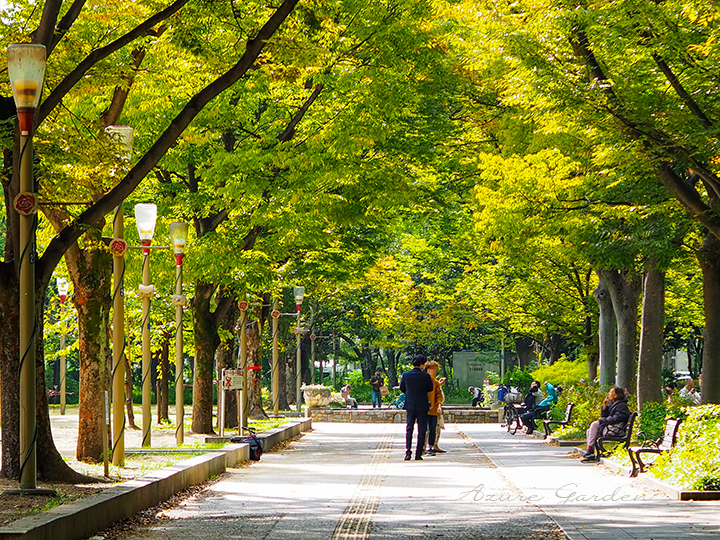 靱公園