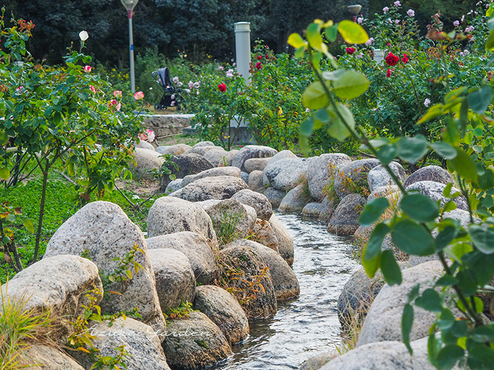 靱公園（Utsubo Park）