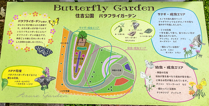 住吉公園バタフライガーデン（Butterfly Garden @ Sumiyoshi Park）