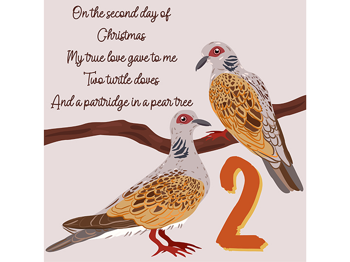 2nd Day of Christmas - Two Turtledoves