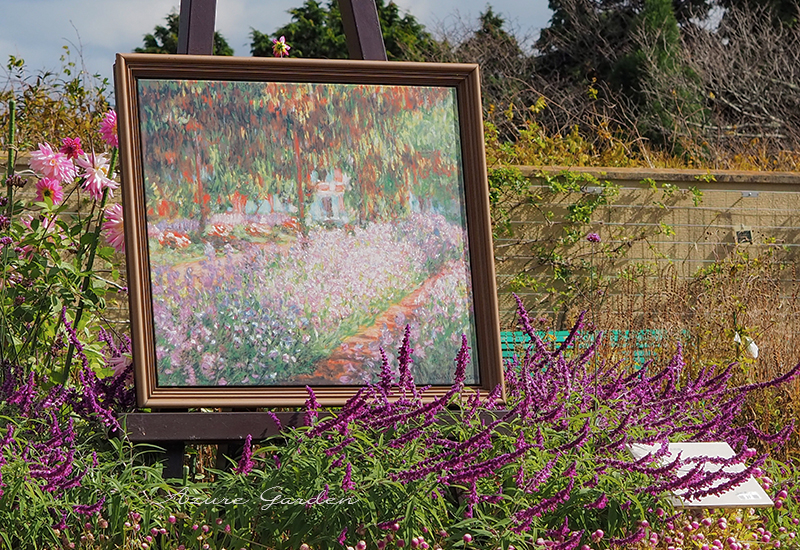 モネ《ジュヴェルニーの庭》@ガーデンミュージアム比叡 - 花の庭