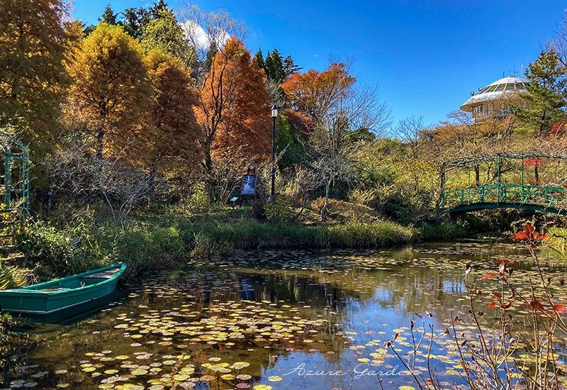 秋色の「睡蓮の庭」 - ガーデンミュージアム比叡 